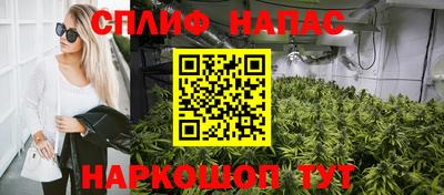 a pvp Краснознаменск