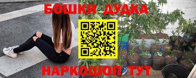 стаф Апшеронск