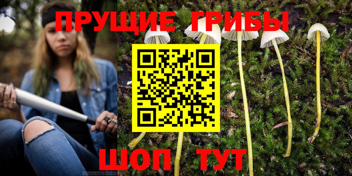 Псилоцибиновые грибы мицелий Кунгур
