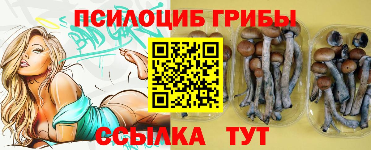 Псилоцибиновые грибы GOLDEN TEACHER Кунгур